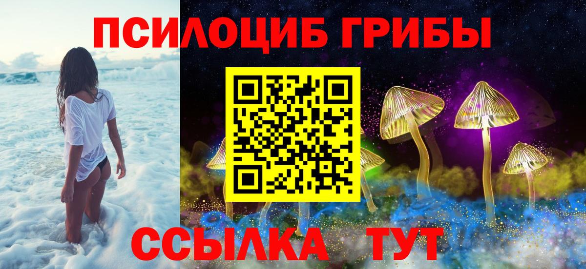 Псилоцибиновые грибы мухоморы Карпинск